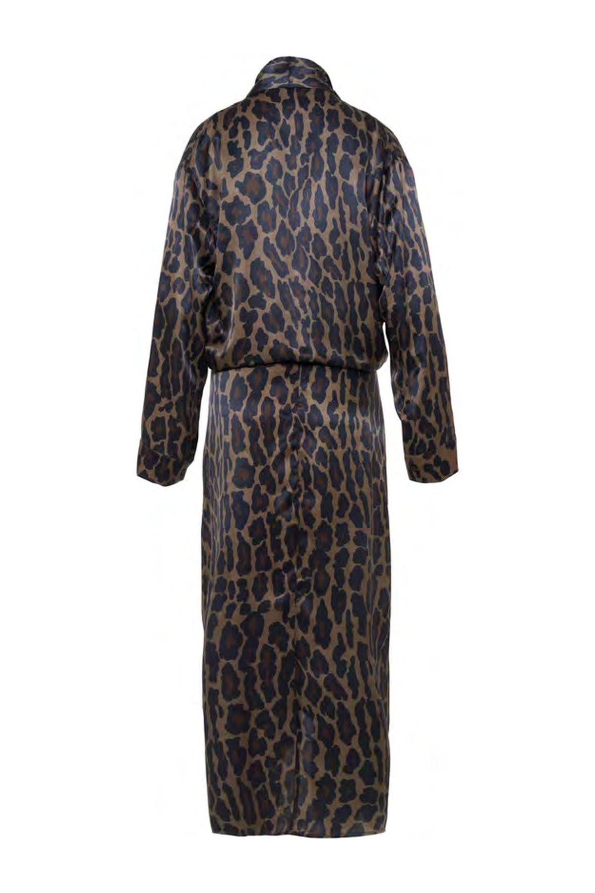 Printed Silk Draped Dress