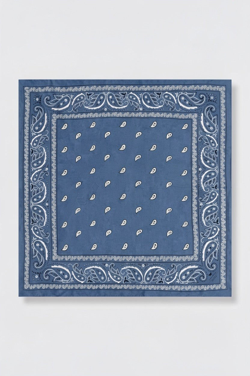 Apentola Silk Bandana