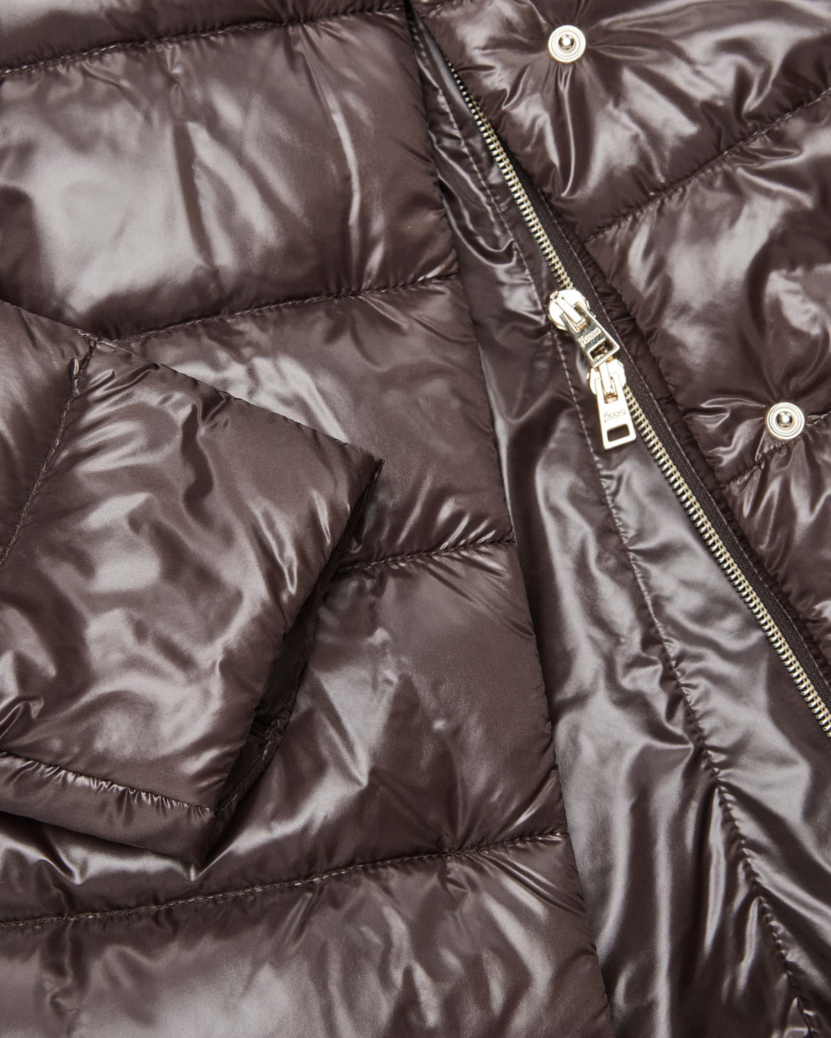 Herno Belted Blazer Dickey Down Puffer in Fondente
