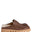 Chestnut Cervo