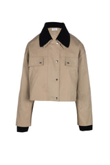 Warm Taupe