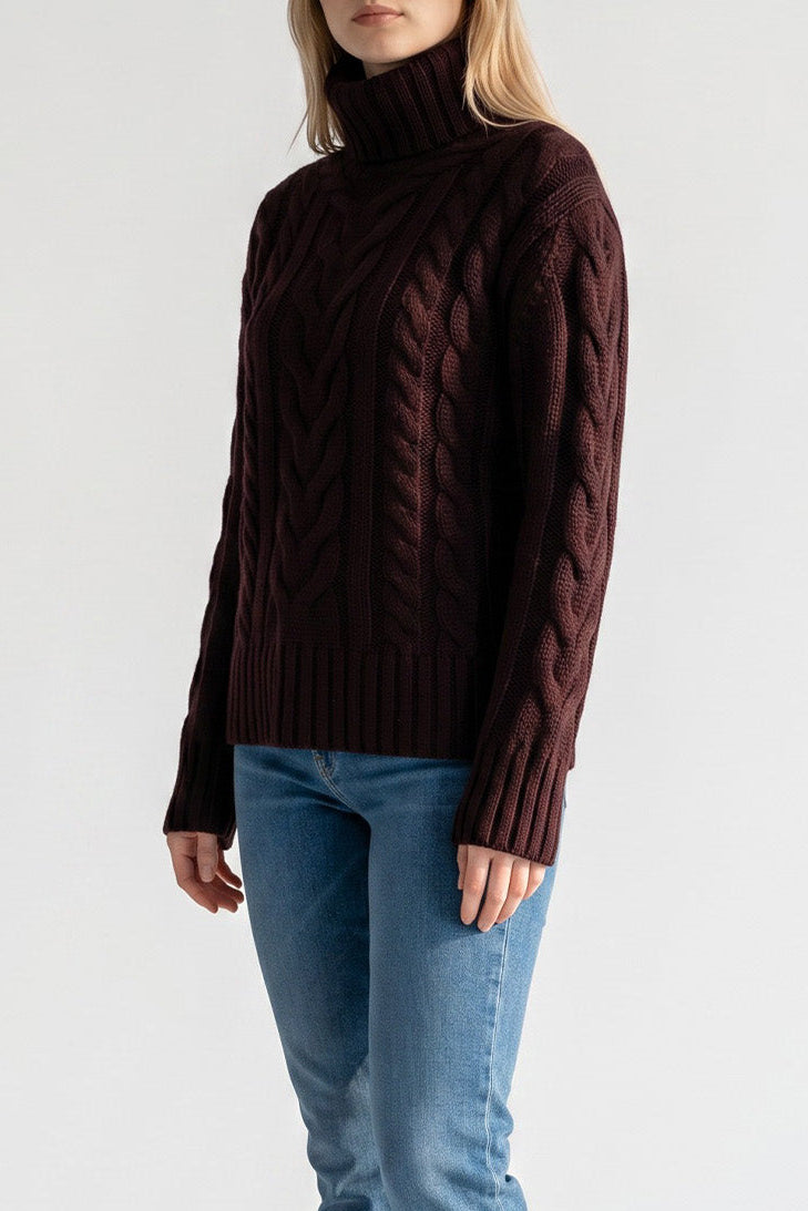 Traveling Turtleneck