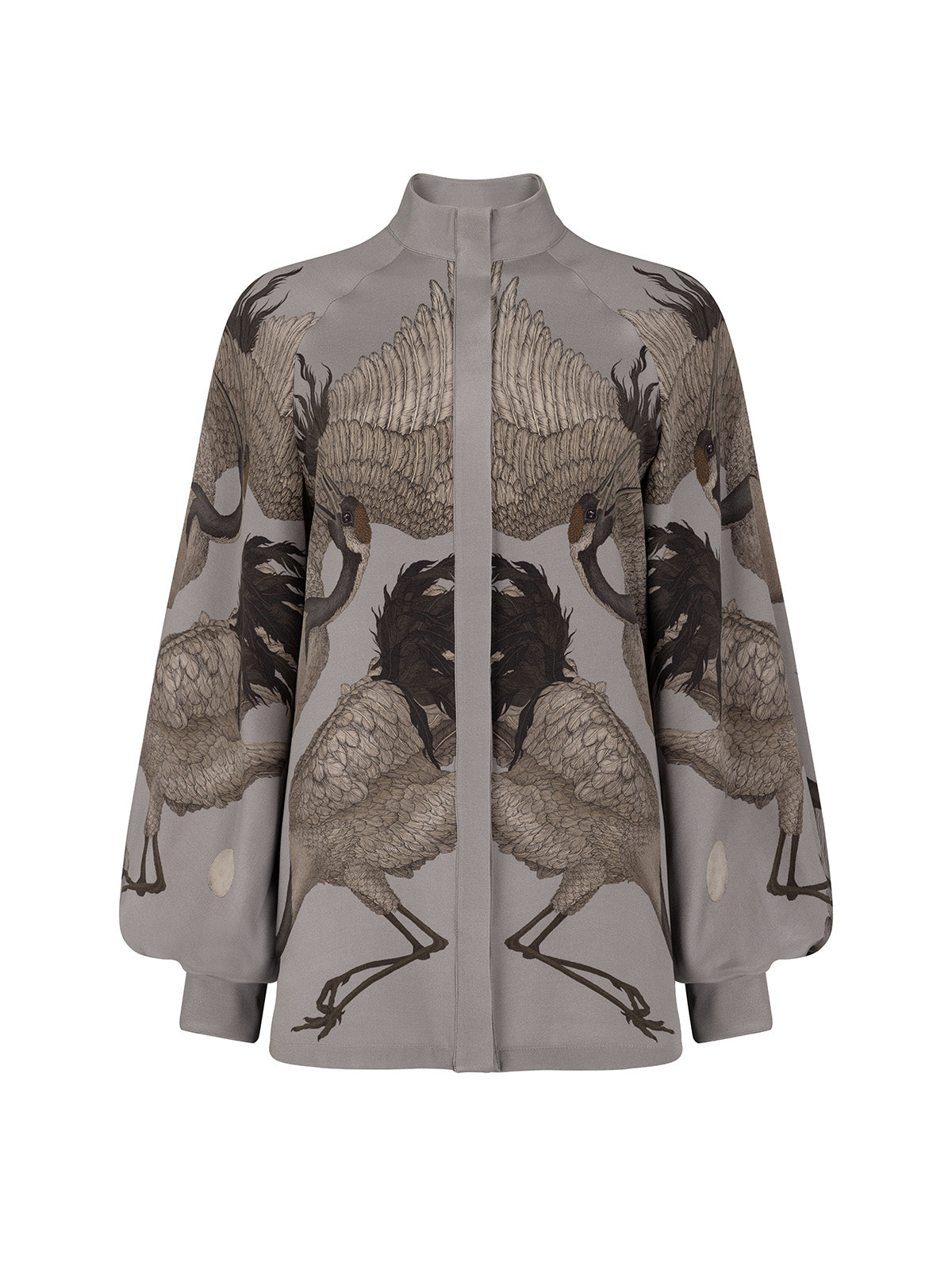 Wind Dancer, Heaven Caller Poet Sleeve Blouse